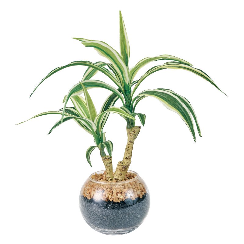 人工観葉植物 ドラセナ ラウンドグラス 高さ30cm （P209) （fz565) （代引き不可） インテリアグリーン フェイクグリーン
