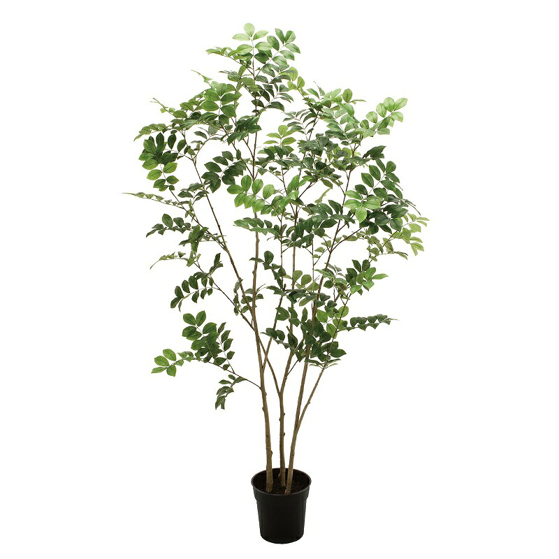 人工観葉植物 トネリコ ポット 光触媒加工 高さ150cm (P217) (zv301978) (代引き不可) インテリアグリーン フェイクグリーン