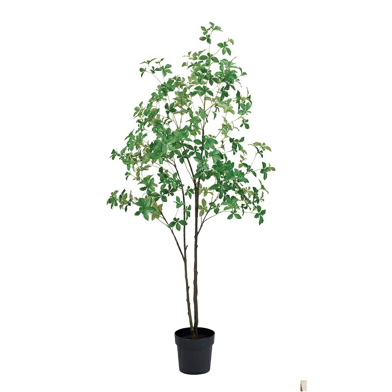 人工観葉植物 ドウダンブランチ ポット 光触媒加工 高さ170cm （P217) （zv302255) （代引き不可） インテリアグリーン フェイクグリーン