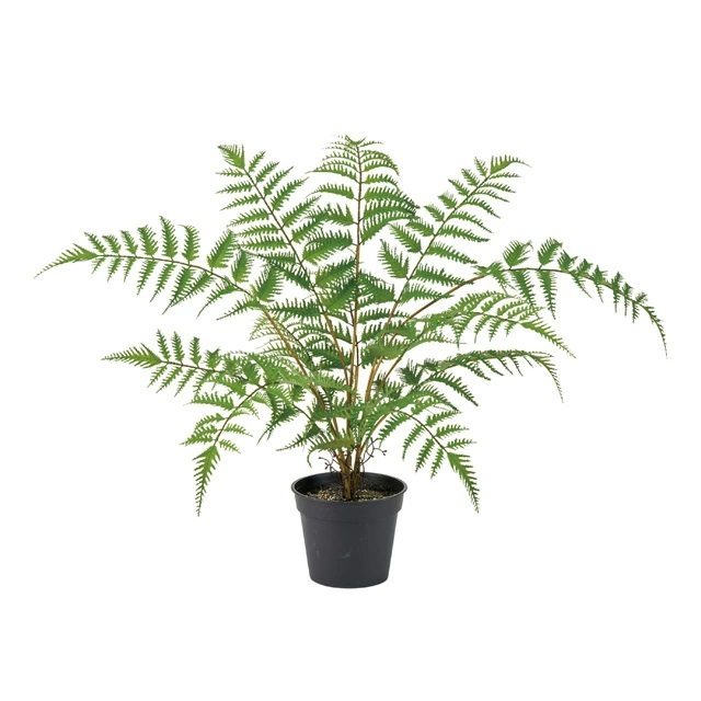 人工観葉草木 シダプランツ ポット 高さ40糎 （P214) （fg935) （代引っ張ること不可） 室内装飾緑であること フェイクグリーン