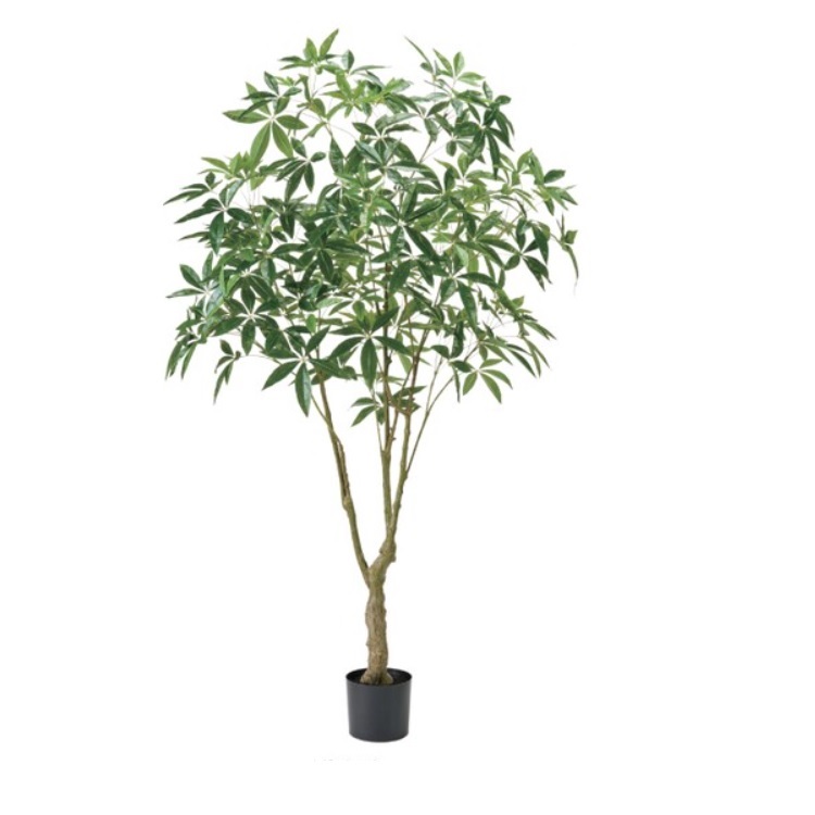 人工観葉植物 パキラグランデ グランデ ポット 光触媒加工 高さ210cm (P224) (zv1554) (代引き不可) インテリアグリーン フェイクグリーン|さくらソレイユ 店