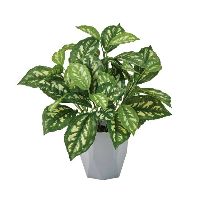 人工観葉植物 ピレアカディエレイ ミニポット 光触媒加工 高さ25cm （P208) （zv9198) （代引き不可） インテリアグリーン フェイクグリーン
