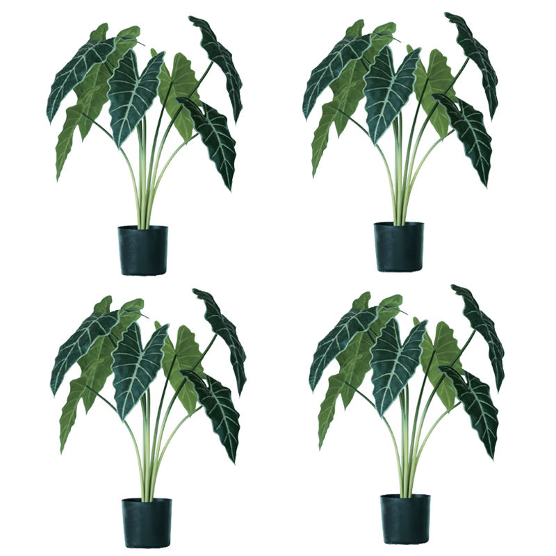 人工観葉植物 アロカシア ポット 61(4個入り)MIRAKANA 観葉植物 卓上、小型の床置きサイズ インテリア フェイクグリーン 造花 POT INDOORグリーン|さくらソレイユ 店