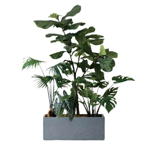 人工観葉植物 フルセット 長方形プランター(グレイ) /シックプランツ(1セット)MIRAKANA プラススタイル 玄関、広い空間サイズ インテリア フェイクグリーン 造花 BROWN+styleグリーン|さくらソレイユ 店