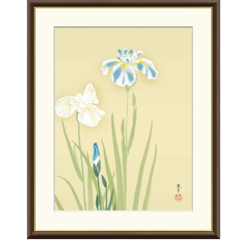 額絵 菱田春草 花あやめ f8・f6・f4サイズ 日本の名画シリーズ Shunso gk-a5-j2117（p111） （J2-117） （代引き不可） 日本画 インテリア