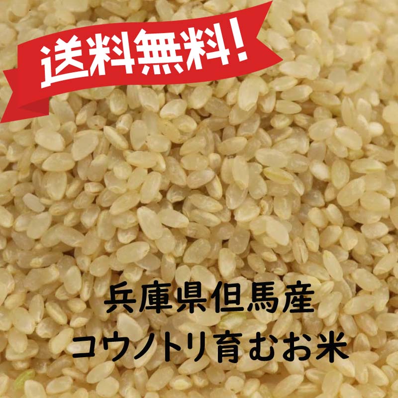 屑米 楽天市場】くず米 青米 山田錦 令和6年産 兵庫県産 減農薬 ネオ