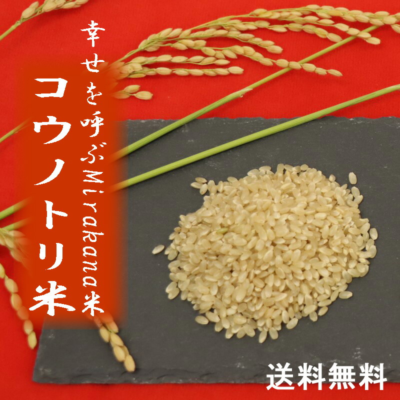 令和7年産 コシヒカリ 兵庫県産 幸せを呼ぶMirakana premium 減農薬 コウノトリ農法玄米0.5kg・0.9kg・2kg・5kg・10kg・30kg安心なお米 環境配慮型 健康志向