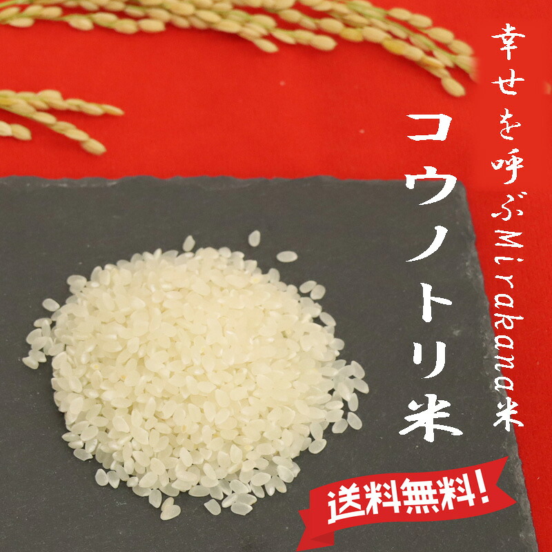 令和7年産 コシヒカリ 兵庫県産 幸せを呼ぶMirakana premium 減農薬 コウノトリ農法 白米0.5kg・0.9kg・2kg・5kg・10kg 熱を加えずに、やさしい低温精米 環境配慮型 健康志向