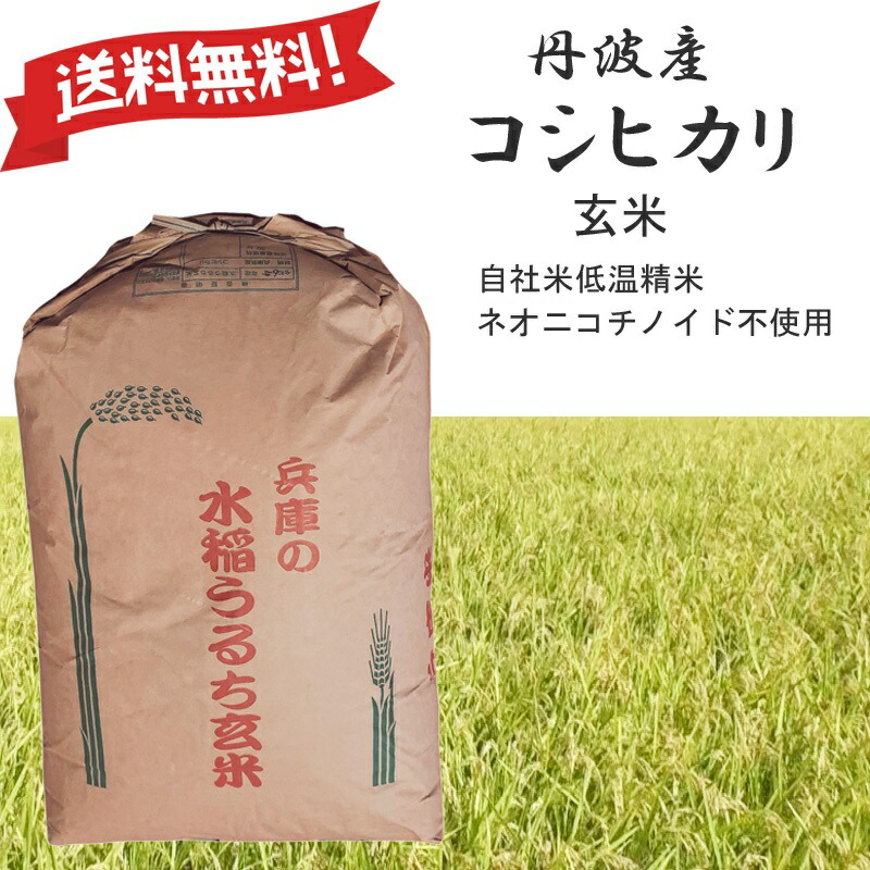 令和7年産 コシヒカリ 兵庫県産 Mirakana premium 丹波産 減農薬 玄米0.5kg・0.9kg・2kg・5kg・10kg・30kg お子様に安心でおいしいお米 健康志向
