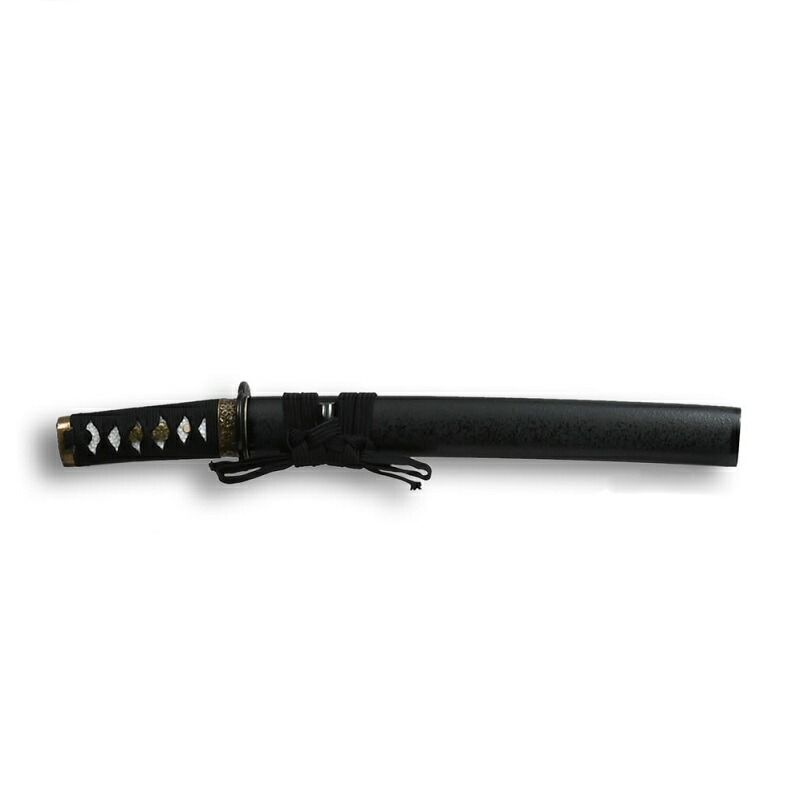 sd-gst-sta-2401.jpg