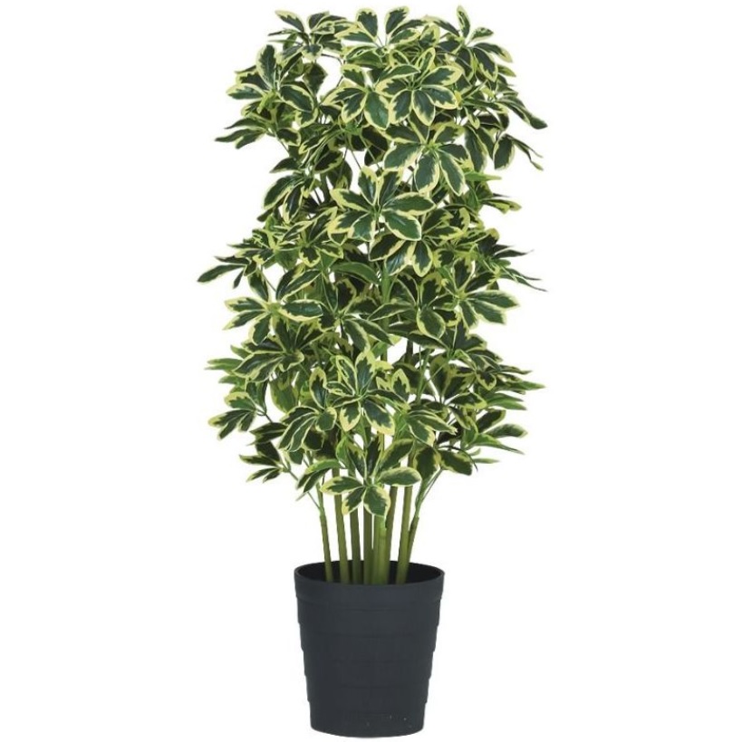 【楽天市場】人工観葉植物 イエローカポック 100 ポット付き 高さ100cm （P44-91828) （代引き不可） インテリアグリーン ...
