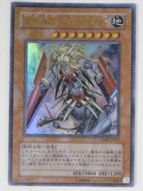 tcg-yu-oy1073.jpg