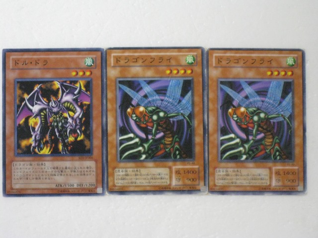 セドルドラゲアのリーフレット