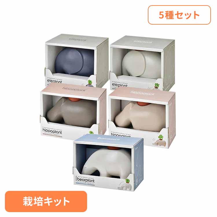 暑さ打つ手