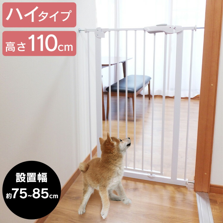 7159734-p.jpg