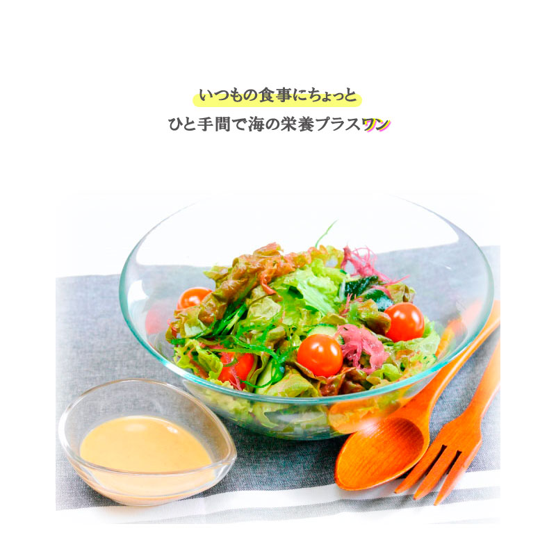 97%OFF!】 送料無料海藻屋さんの海藻サラダ５００g×２０袋入 塩蔵ミックスサラダ ７種類の海藻配合 fucoa.cl