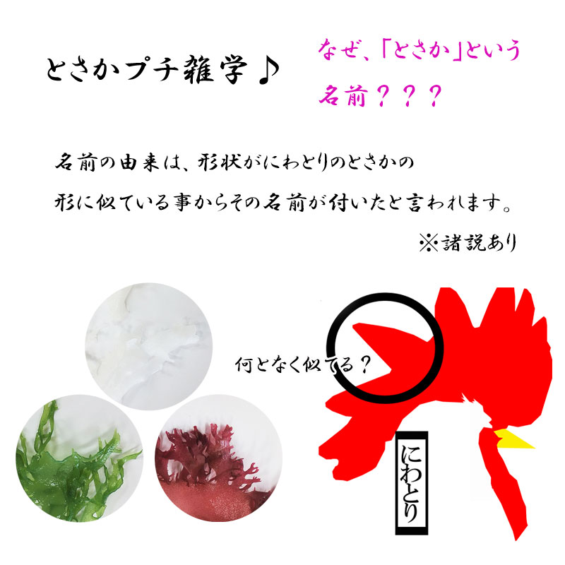 市場 塩蔵とさか 青 国産 赤 白 総重量１ ５ｋｇ 500g３種セット