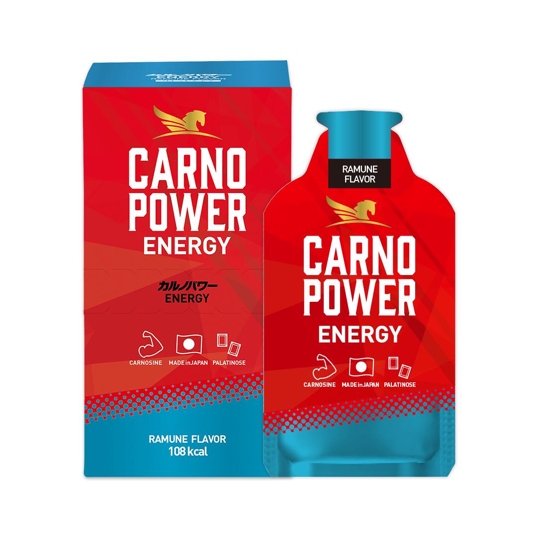 ちぇりーちぃ出品 カルノシン １個 ナイト１個 エナジー2個 楽天市場】カルノパワーエナジー ジンジャーエール風味 ENERGY GINGER