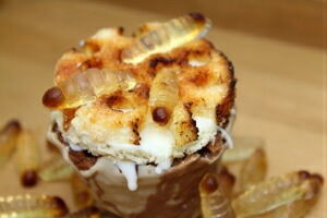 楽天市場 Honobonoスイート はちのすケーキ 冷凍発送 お菓子 おかし 焼き菓子 焼菓子 洋菓子 手作りケーキ マーブルケーキ カップケーキ おもしろ 面白い おもしろい ユニーク 虫 昆虫 手づくり サプライズ プレゼント 贈り物 手土産 お取り寄せスイーツ お菓子の小