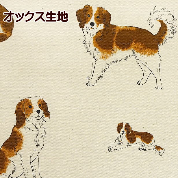 楽天市場】オックス 生地 コーイケルホンディエ デコピン 犬