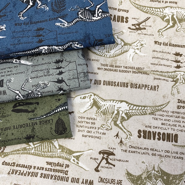 化石 不規則な形状 グレー系 約10cm 楽天市場】恐竜の化石図鑑 Aライトグレー系 オックス生地