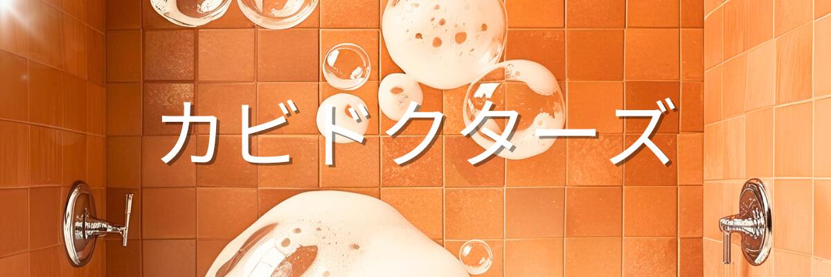 ���ӥɥ������������Ӽ������ȼ�