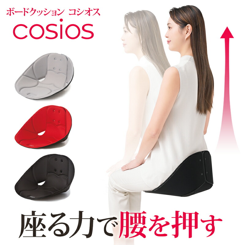 楽天市場】姿勢改善クッションシート 〔 ZAGOOプレミアム