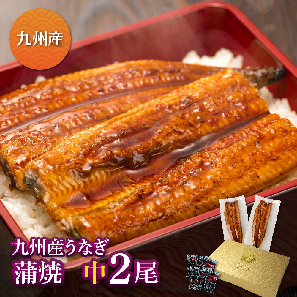九州産　厳選うなぎ蒲焼（119g-134g）×中2尾 うなぎ 蒲焼き ギフト 父の日 母の日 敬老の日 鰻 ウナギ 蒲焼 国産 国内産 お祝い 内祝い 結婚内祝い グルメ 丑の日 土用の丑の日 冷凍食品 送料無料