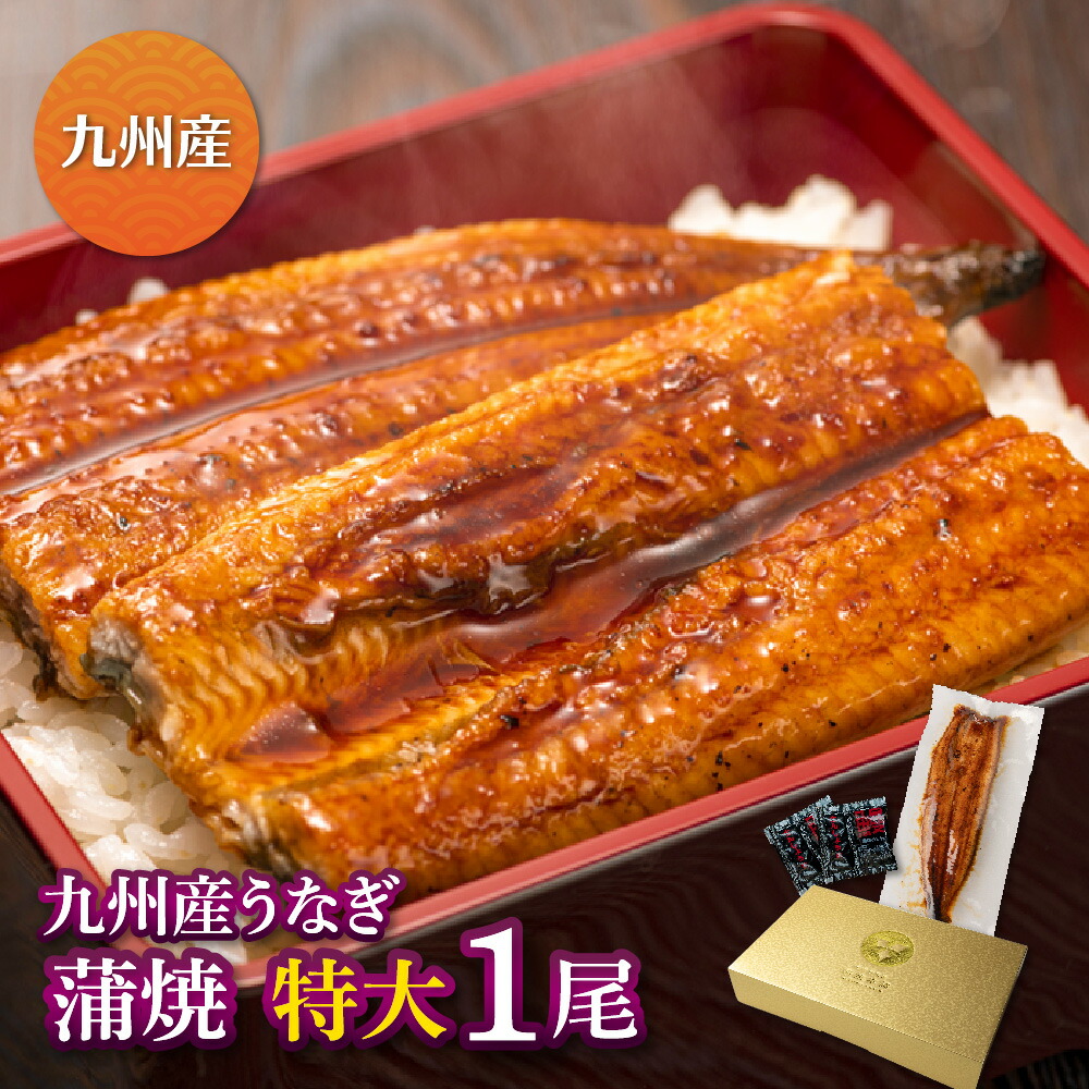 九州産 厳選うなぎ蒲焼(212g-236g)×特大1尾 うなぎ 蒲焼き ギフト 父の日 母の日 敬老の日 鰻 ウナギ 蒲焼 国産 お祝い 内祝い 結婚内祝い グルメ 丑の日 土用の丑の日 冷凍食品 送料無料
