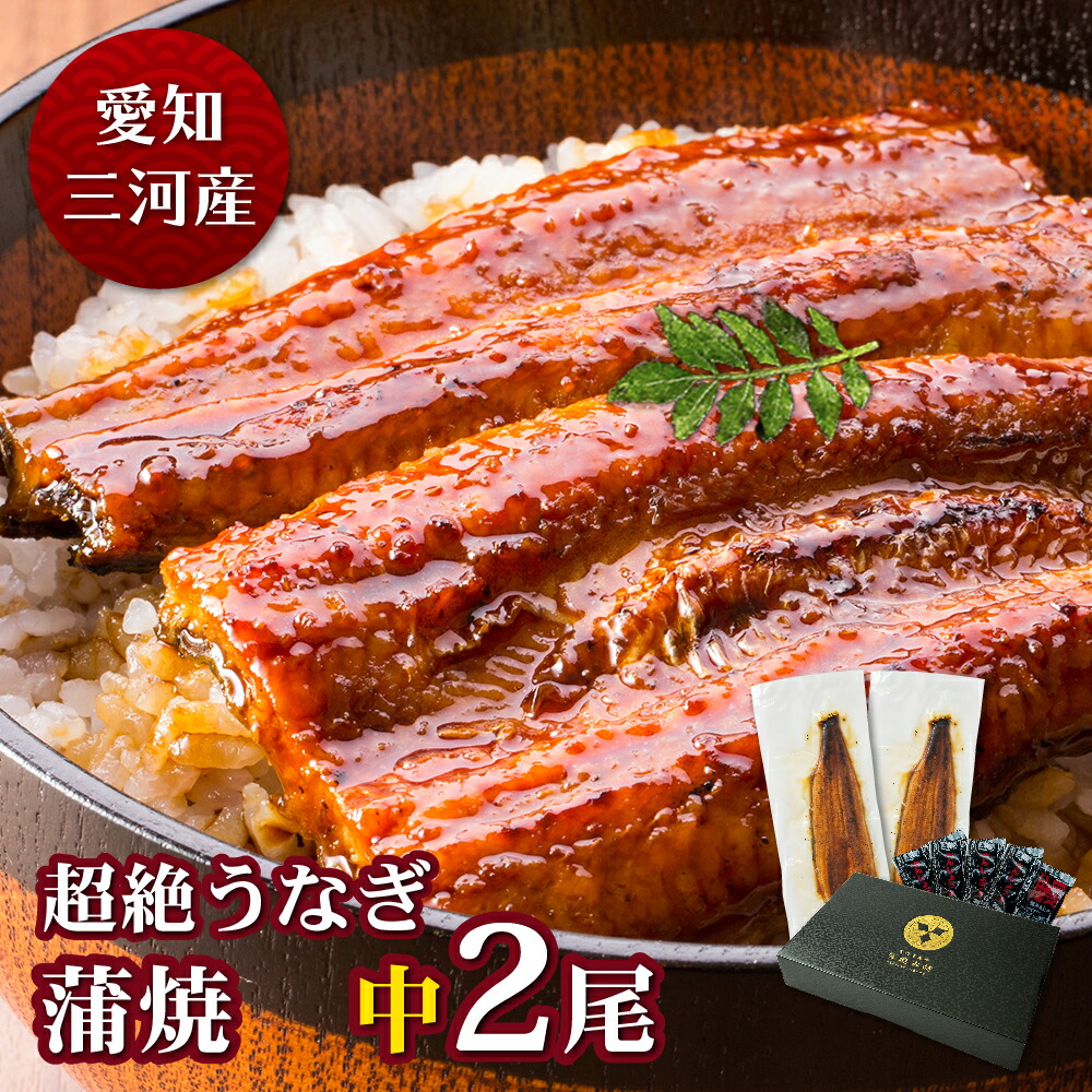 愛知三河産　超絶うなぎ蒲焼（119g-134g）×中2尾　2人前 うなぎ 蒲焼き ギフト プレゼント 鰻 ウナギ 蒲焼 国産 お祝い 内祝い 結婚内祝い グルメ 冷凍食品