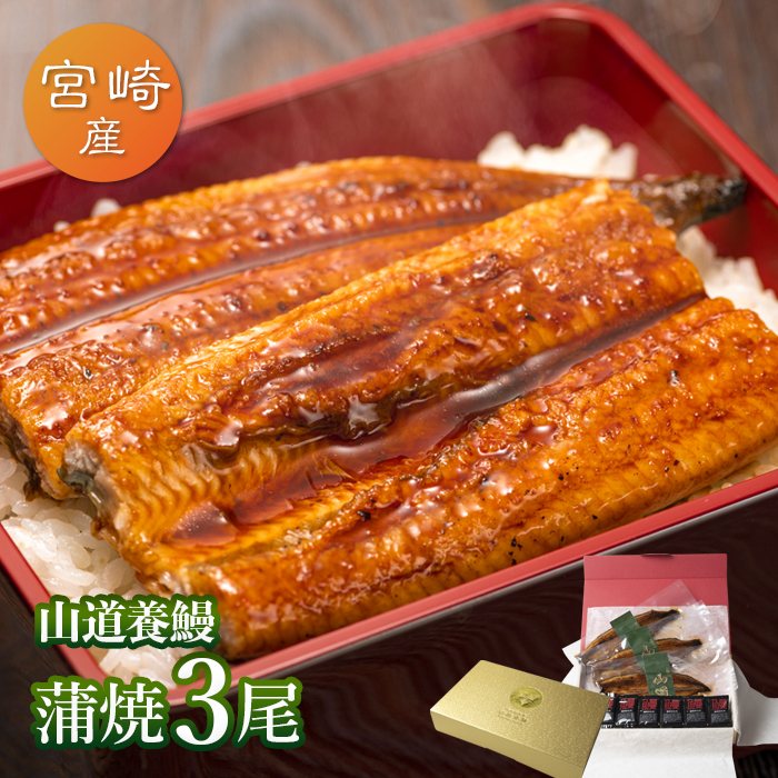 最終値下げ 宮崎県産 山道養鰻の蒲焼 119g 134g 中3尾うなぎ 蒲焼き ギフト 父の日 母の日 敬老の日 食べ物 プレゼント 鰻 ウナギ 蒲焼 国産 国内産 お祝い 内祝い 結婚内祝い グルメ 丑の日 土用の丑の日 冷凍食品 上質で快適 Sicemingenieros Com