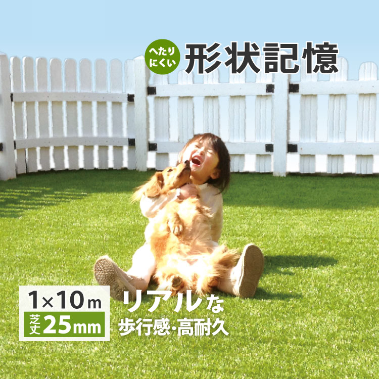 文芸批評服従で差し上げ物！社会的運動