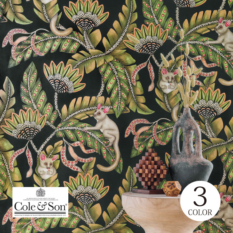 輸入壁紙 ロール売り イギリス 草木 ボタニカル アフリカン 植物 動物 のりなし輸入壁紙 Cole & Son/コールアンドサン (52cm×10m/ロール) 全3色 ［1ロール単位］