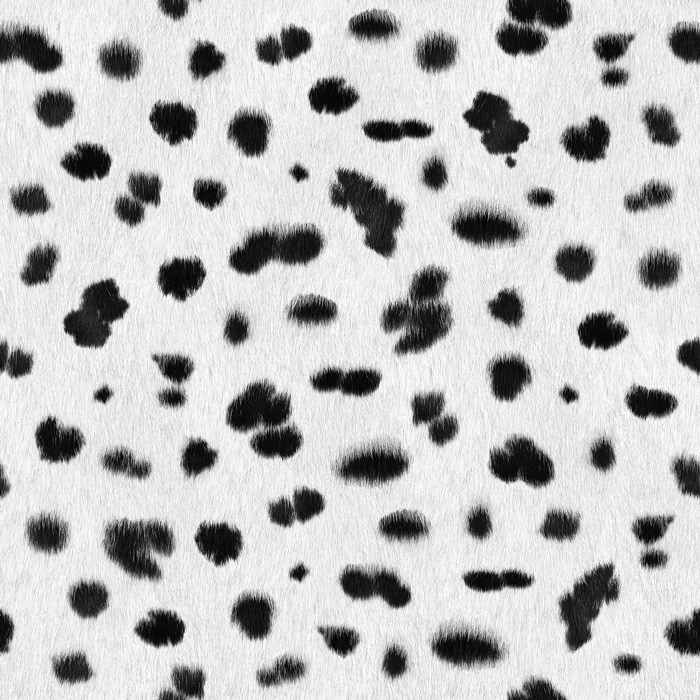 990円 66 以上節約 壁紙 おしゃれ ダルメシアン 柄 のりなし アニマル 犬 毛皮 防カビ 国産 アパレル ペット ショップ 店舗 部屋 寝室 キッチン トイレ リフォーム リメイク リアル 個性的 エキゾチック 派手 斬新 ホワイト ブラック かべがみはるこ