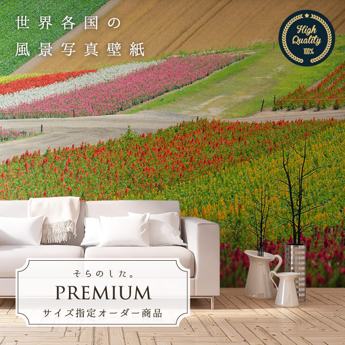 【オーダー壁紙】 壁紙 写真 北海道 花畑 花 草原 カントリー 美瑛の丘 おしゃれ 綺麗 自然 開放的 癒し 貼りやすい 防カビ 日本製 国産 リメイク 模様替え 店舗 内装 部屋 寝室 キッチン リビング トイレ 風景 景色 かべがみはるこ そらのした。premium