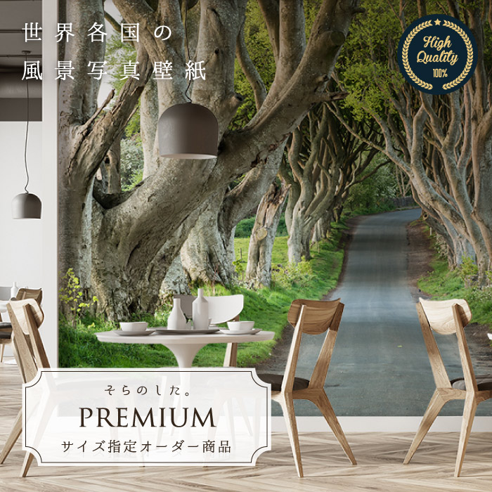 楽天市場 オーダー壁紙 壁紙 写真 ベトナム ランタン 幻想的 ノスタルジック おしゃれ 綺麗 自然 開放的 癒し 貼りやすい 防カビ 日本製 国産 リメイク 模様替え 店舗 内装 部屋 寝室 キッチン リビング トイレ 風景 景色 かべがみはるこ そらのした Premium