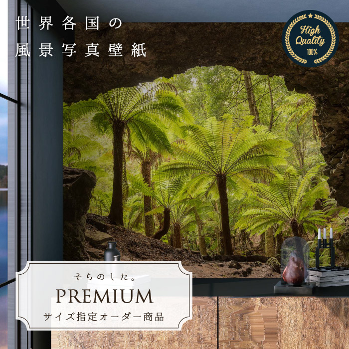 【オーダー壁紙】 壁紙 写真 森林 洞窟 ジャングル タスマニア おしゃれ 綺麗 自然 開放的 癒し 貼りやすい 防カビ 日本製 国産 リメイク 模様替え 店舗 内装 部屋 寝室 キッチン リビング トイレ 風景 景色 かべがみはるこ そらのした。premium