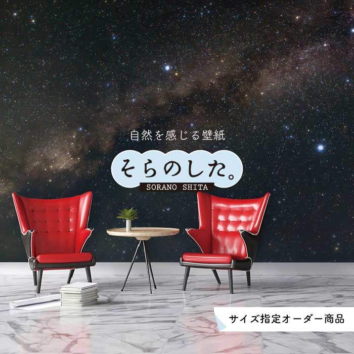 楽天市場 オーダー壁紙 壁紙 星 空 星柄 おしゃれ 写真 プラネタリウム 自然 夜空 貼りやすい インテリア デザイン 防カビ 日本製 国産 リメイク 模様替え 店舗 天井 部屋 寝室 キッチン リビング トイレ 美しい 風景 景色 かべがみはるこ そらのした かべがみは