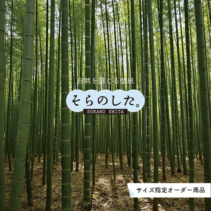 楽天市場 オーダー壁紙 壁紙 竹 和風 おしゃれ 写真 自然 木 竹林 癒し 落ち着く 貼りやすい デザイン 防カビ 日本製 国産 リメイク 模様替え 店舗 ホテル 天井 部屋 寝室 キッチン リビング トイレ 風景 景色 グリーン かべがみはるこ そらのした