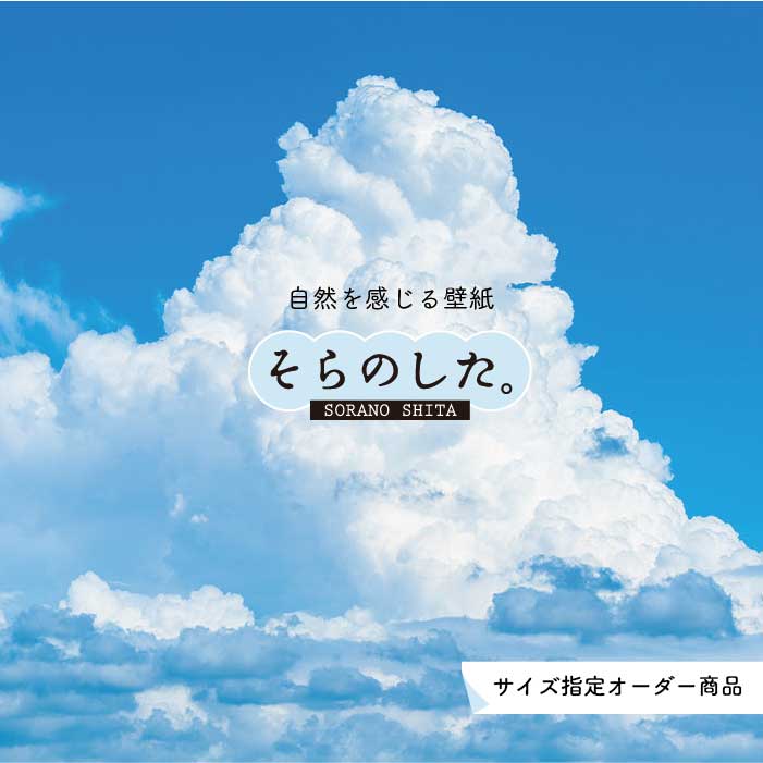 楽天市場 オーダー壁紙 壁紙 空 おしゃれ 写真 自然 雲 スカイ クラウド 癒し 貼りやすい デザイン 防カビ 日本製 国産 リメイク 模様替え 店舗 天井 部屋 寝室 キッチン リビング トイレ 美しい 風景 景色 白 ブルー かべがみはるこ そらのした