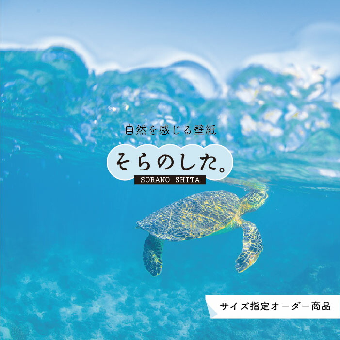 楽天市場 オーダー壁紙 壁紙 海の中 水中 ダイビング ウミガメ 写真 おしゃれ 自然 幻想的 貼りやすい デザイン 防カビ 日本製 国産 リメイク 模様替え 店舗 天井 部屋 寝室 キッチン リビング トイレ 風景 景色 ブルー かべがみはるこ そらのした かべがみはる 楽天市場 オーダー壁紙 壁紙 海の中 水中 ダイビング ウミガメ 写真 おしゃれ 自然 幻想的 貼りやすい デザイン 防カビ 日本製 国産 リメイク 模様替え 店舗 天井 部屋 寝室 キッチン リビング トイレ 風景 景色 ブルー かべがみはるこ そらのした かべがみはる
