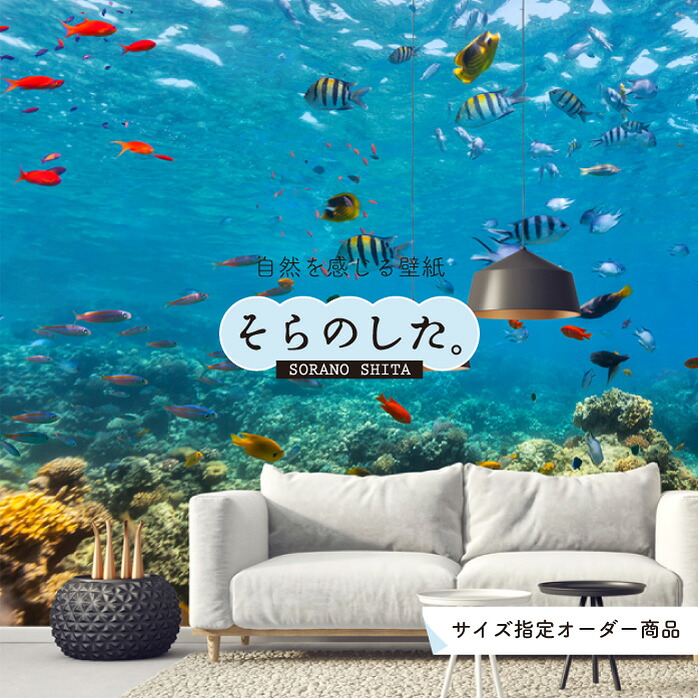楽天市場 オーダー壁紙 壁紙 海の中 水中 ダイビング サンゴ 熱帯魚 サンゴ礁 写真 おしゃれ 自然 幻想的 貼りやすい デザイン 防カビ 日本製 国産 リメイク 模様替え 店舗 天井 部屋 寝室 キッチン リビング トイレ 風景 景色 ブルー かべがみはるこ そらのした 楽天市場 オーダー壁紙 壁紙 海の中 水中 ダイビング サンゴ 熱帯魚 サンゴ礁 写真 おしゃれ 自然 幻想的 貼りやすい デザイン 防カビ 日本製 国産 リメイク 模様替え 店舗 天井 部屋 寝室 キッチン リビング トイレ 風景 景色 ブルー かべがみはるこ そらのした