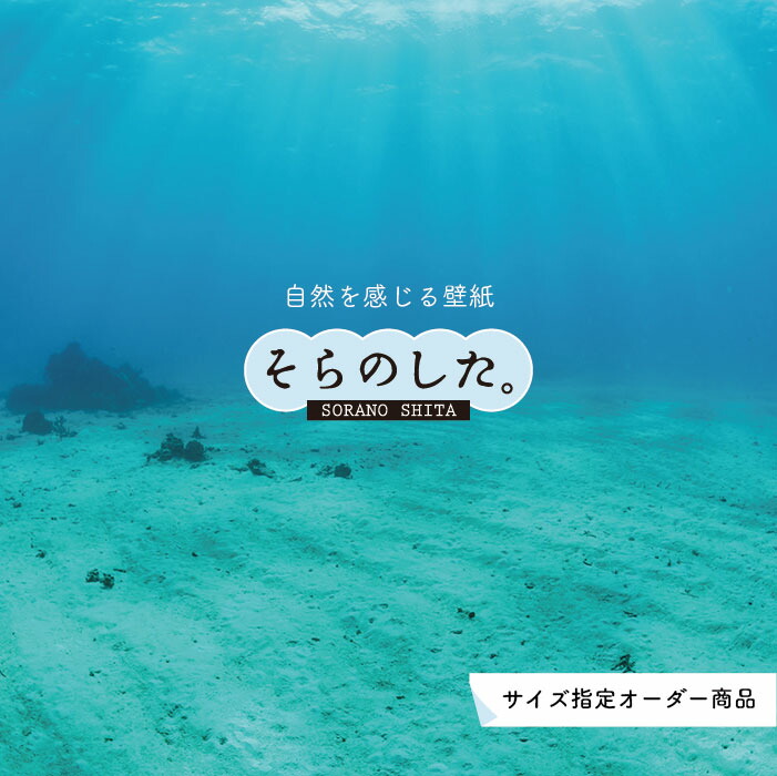 海月（オーダー受付停止中）ページ 楽天市場】【オーダー壁紙】 壁紙 海の中 水中 ダイビング 写真