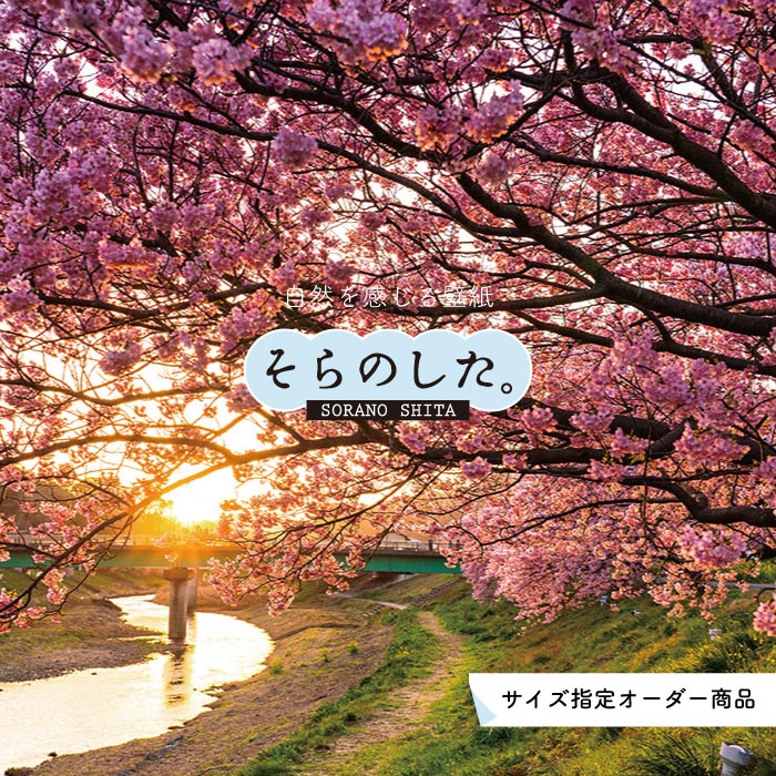 楽天市場 オーダー壁紙 インスタ映え 壁紙 写真 おしゃれ 桜 和風 大正ロマン 貼りやすい フォト 背景 デザイン 防カビ 日本製 国産 リメイク 模様替え 店 カフェ 天井 部屋 和室 寝室 キッチン リビング トイレ 風景 景色 かべがみはるこ アナザースカイ かべがみ