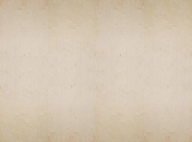 壁紙 貼ってはがせる壁紙 Mr Perswall 11巾 ミスターパースウォール Captured Reality ブラウン プレート Brown Plates タイル 男前 塩系 インテリア フリース壁紙 不織布壁紙 スウェーデン製 壁紙 メンズ かっこいい デジタルプリント リアル 実写 北欧 Diy