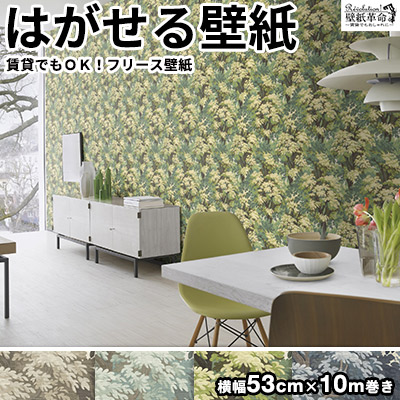 売れ筋 壁紙 はがせる 輸入壁紙 ドイツ製 Rasch ラッシュ Barbara Home Collection 53cmx10m 貼ってはがせる壁紙 フリース壁紙 はがせる壁紙 のりなし Diy 賃貸 バーバラベッカー 木 植物 森 グリーン 緑w コンビニ受取対応商品 Www Qallwahotels Com