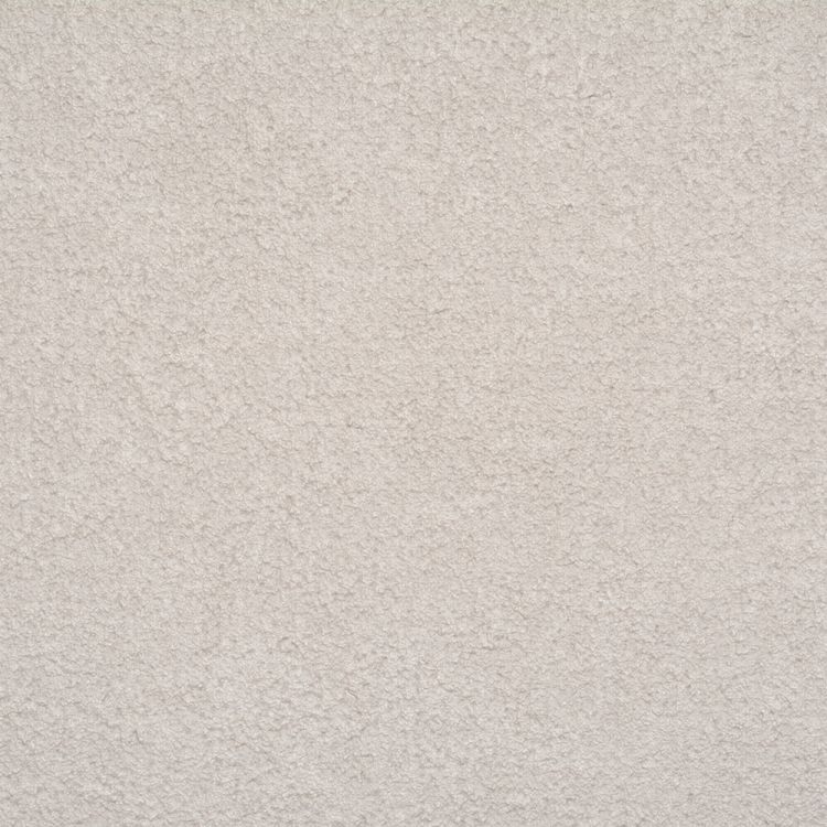トップ100グレージュ 色 壁紙 最高の花の画像