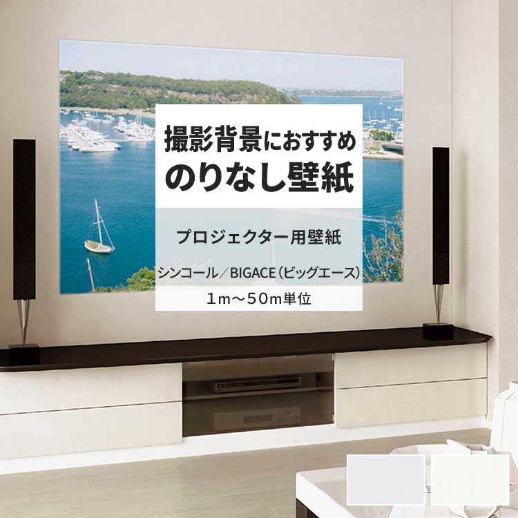 新品未開封】壁紙屋本舗 剥がせる壁紙 もったいなく 93cmm*400cm プロジェクタースクリーン用