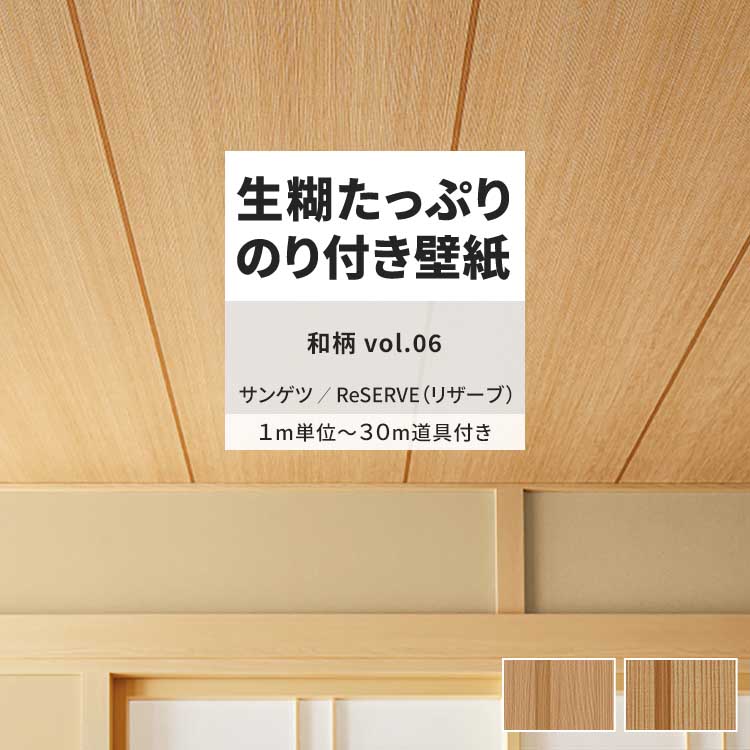 ももにの様　RK　板　ロング部のみ トリックスター / 【WEBショップ限定】Ninja ZX-4R(24-26)/ZX-25R(21