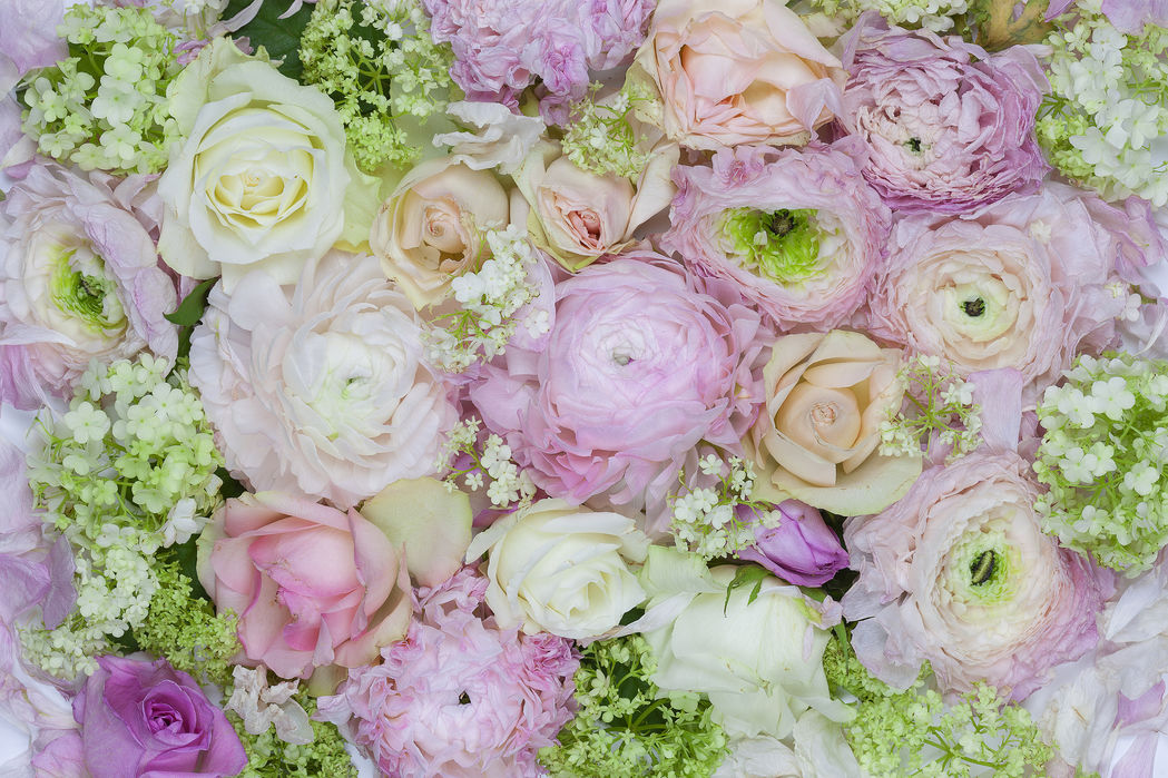 メール便なら送料無料 楽天市場 アートパネル 10cm単位でサイズオーダーできる 絵画 壁掛け インテリア 壁飾り キャンバス アート ウォール バラ ピンク 緑 グリーン 壁紙屋本舗 カベガミヤホンポ 肌触りがいい Inquiport Net